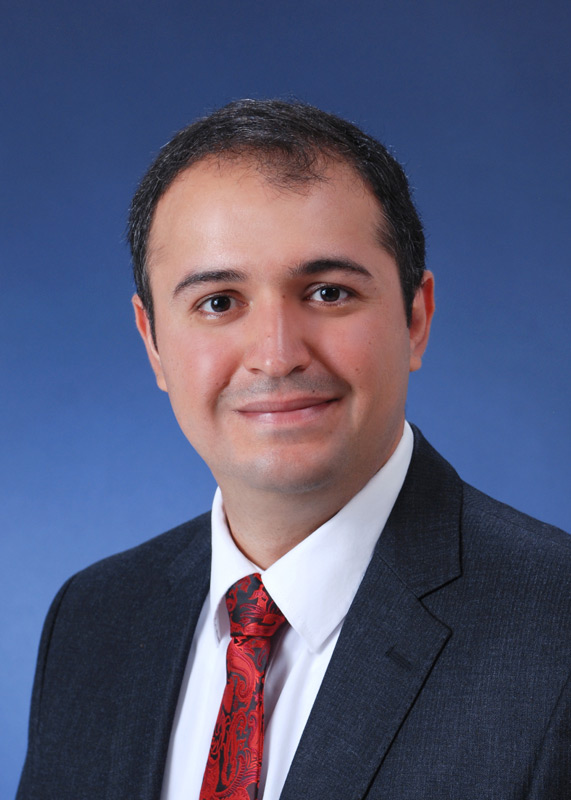 About Hossein Faramarzi | Faramarzi Law Corporation (FLC)